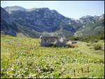 Planina Govnjač