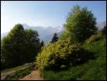 Planina Kuk - Zeleni vrh