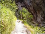 Zgornja Trenta  (Furlan) - The Mlinarica river-beds