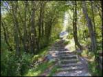 Skalnica - Sveta Gora