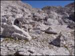 Planina Blato - Koča na Doliču