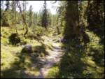 Planina Blato - Planina Lopučnica