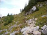 end of road on Pokljuka - Triglav