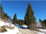 Koprivnik v Bohinju - Spodnji Goreljek (Pokljuka)