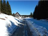 Koprivnik v Bohinju - Spodnji Goreljek (Pokljuka)