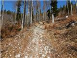 Podljubelj (Lajb) - Planina Planinca