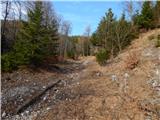 Podljubelj (Lajb) - Planina Planinca