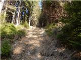 Podljubelj (Lajb) - Planina Planinca