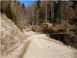 Podljubelj (Lajb) - Planina Planinca