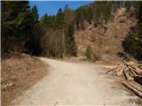 Podljubelj (Lajb) - Planina Planinca