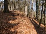 Dorfarje - Archangel Gabriel (Planica)