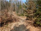 Dorfarje - Sveti nadangel Gabrijel (Planica)