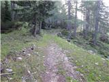 Trate / Johannsenruhe - Ovčji vrh (Kozjak) / Geissberg (Kosiak)
