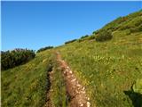 Podnar / Bodenbauer - Ovčji vrh (Kozjak) / Geissberg (Kosiak)