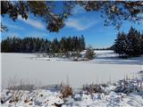 Bloško jezero