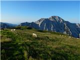 Johannsenruhe - Ovčji vrh (Kozjak) / Geissberg (Kosiak)