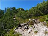 Kranjska Gora - Ciprnik