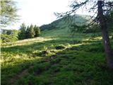 Bodenbauer - Ovčji vrh (Kozjak) / Geissberg (Kosiak)