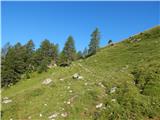 Johannsenruhe - Ovčji vrh (Kozjak) / Geissberg (Kosiak)