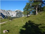 Johannsenruhe - Ovčji vrh (Kozjak) / Geissberg (Kosiak)
