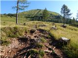 Trate / Johannsenruhe - Celovška koča / Klagenfurter Hutte