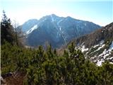 Ljubelj - Srednji vrh (above Završnica)