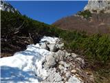 Ljubelj - Srednji vrh (above Završnica)