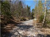 Ljubelj - Srednji vrh (above Završnica)