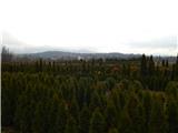 Tree nursery Štivan - Štivanski log