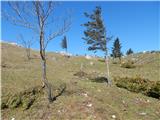 Col - Podrta gora above Ajdovščina