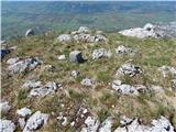 Col - Podrta gora above Ajdovščina