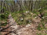 Jamce - Podrta gora above Ajdovščina