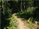 18th hairpin turn of road on Strma Reber - Cerk