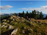 Mačkin Kot (Enci) - Kranjska reber