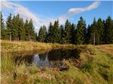 Črnivec - Veliki Rogatec (Veliki Rogac)