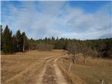 Kožljek - Leskovica (above Stražišče)