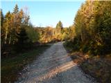 Planina Smrečica (Poglajnov rovt) - Grajska planina (Ribšca)