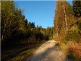 Planina Smrečica (Poglajnov rovt) - Turn (above Bohinjska Bela)