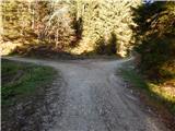 Planina Smrečica (Poglajnov rovt) - Grajska planina (Ribšca)