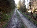 Konjska raven (Pokljuka) - Turn (above Bohinjska Bela)