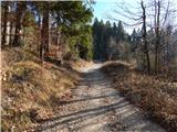 Tržič - Planica (vzletišče Gozd)