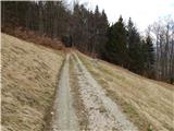 Šobčev bajer - Castle Lipniški grad (Pusti grad above Lipnica)