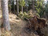 Tržič - Planica (vzletišče Gozd)