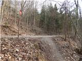 Tržič - Planica (Paragliding site Gozd)