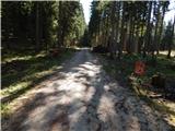 Konjska raven (Pokljuka) - Turn (above Bohinjska Bela)