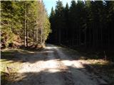 Konjska raven (Pokljuka) - Turn (nad Bohinjsko Belo)