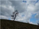 Šobčev bajer - Castle Lipniški grad (Pusti grad above Lipnica)