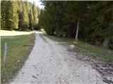 Konjska raven (Pokljuka) - Turn (above Bohinjska Bela)