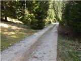 Konjska raven (Pokljuka) - Turn (above Bohinjska Bela)