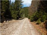 Planina Smrečica (Poglajnov rovt) - Belska planina